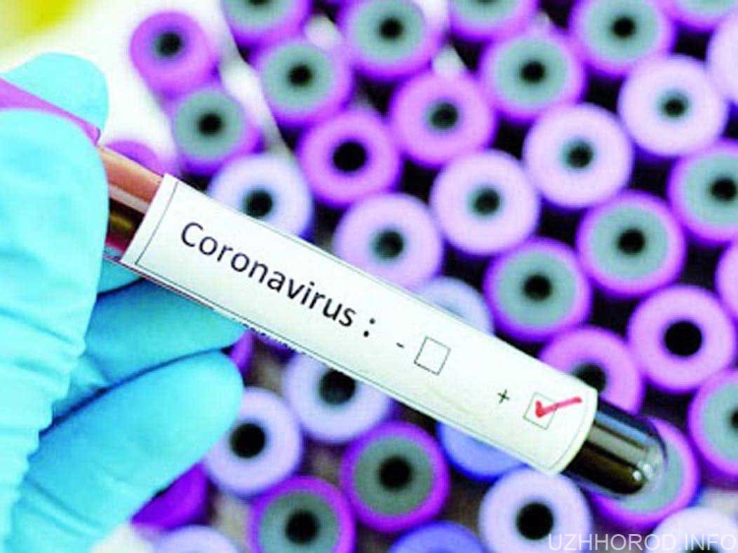 У шістьох людей на Закарпатті підозрюють коронавірус фото