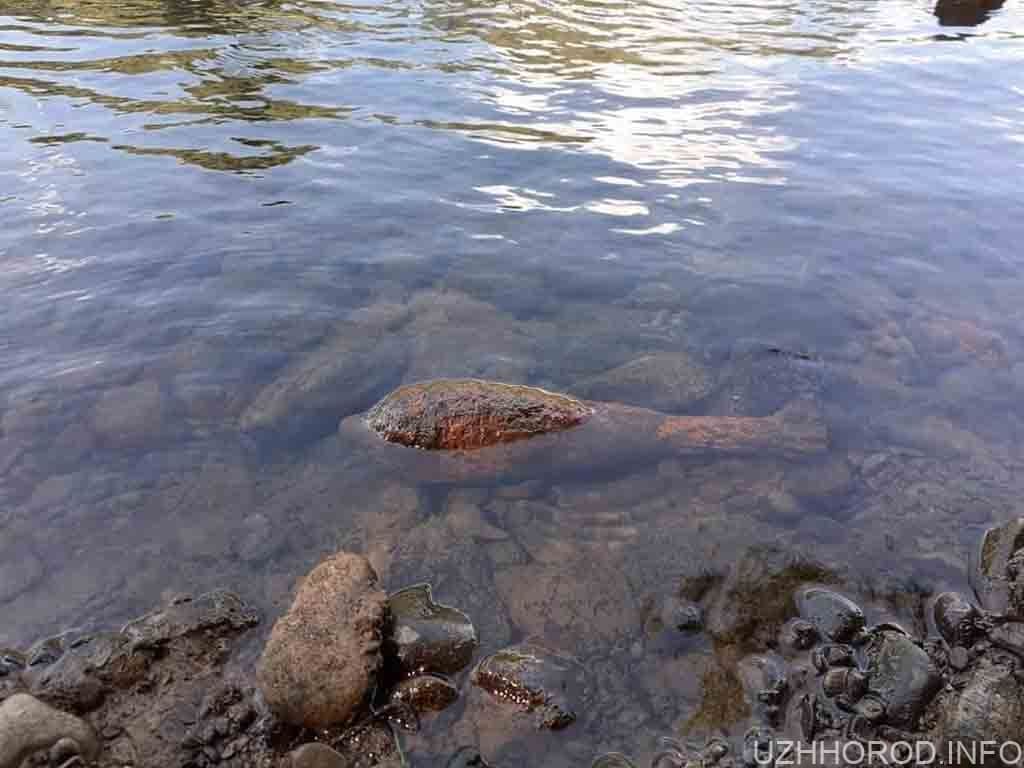 В Ужгороді на річці Уж рибалка знайшов боєприпас