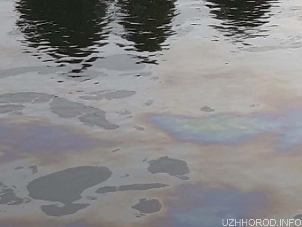 Щодо інформації про забруднення річки Уж в Ужгороді, про яку вчора писали