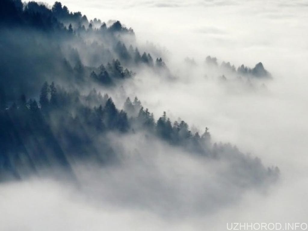 На Закарпатті прогнозують туман