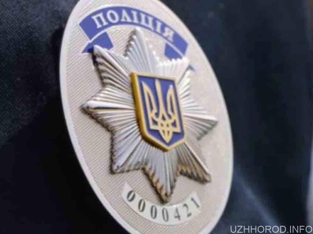 Поліція шукає хуліганів, які пошкодили Менору в Ужгороді