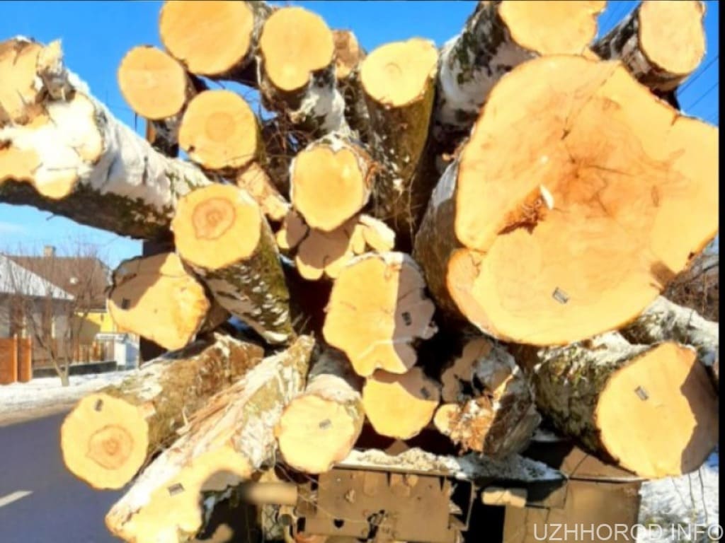 В Ужгороді зупинили КрАЗ з деревиною без документів
