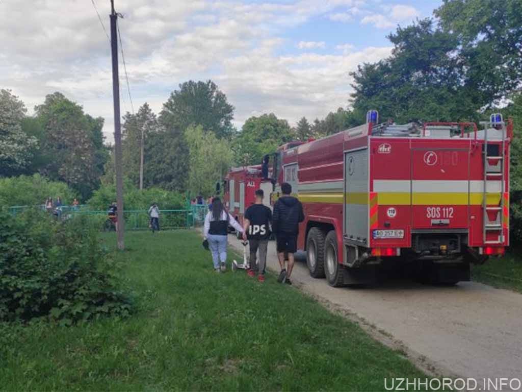 В ужгородському парку Боздош сталася пожежа фото