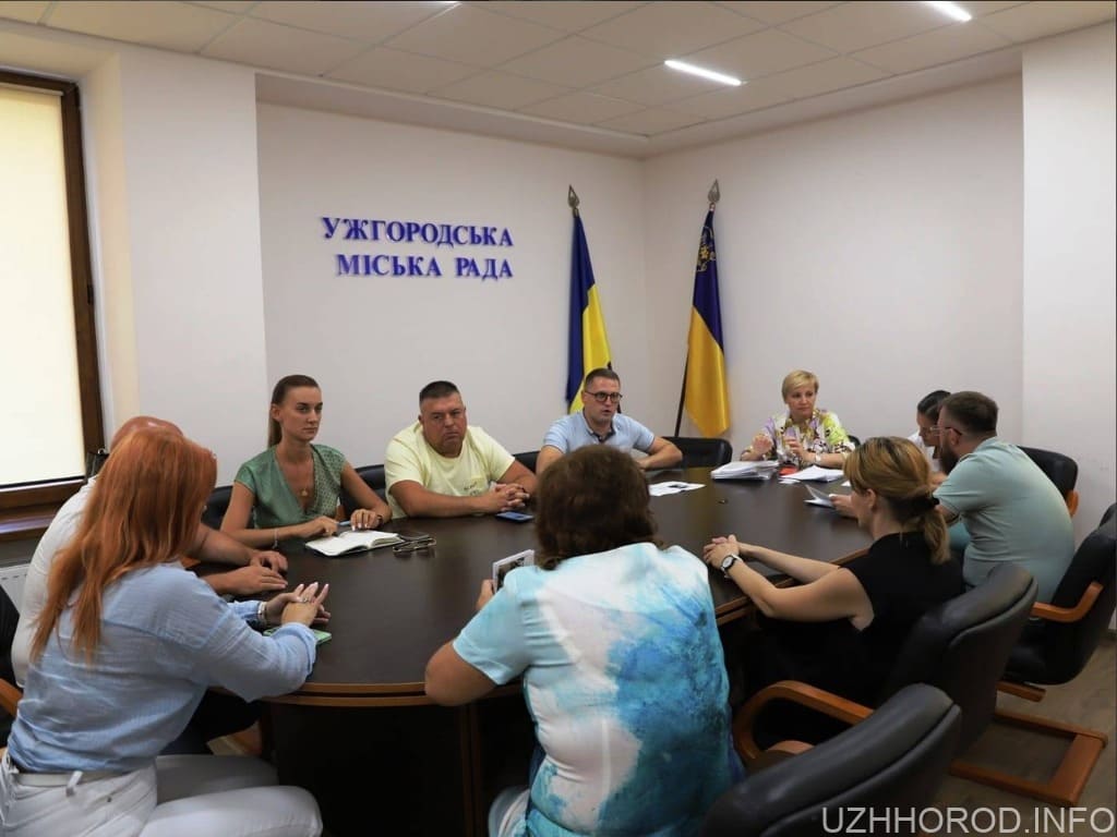 13 технічних паспортів вивісок у центральній частині Ужгорода погодили фото