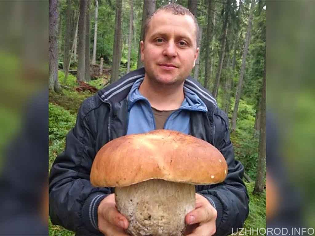 Закарпатець знайшов гриб-велетень