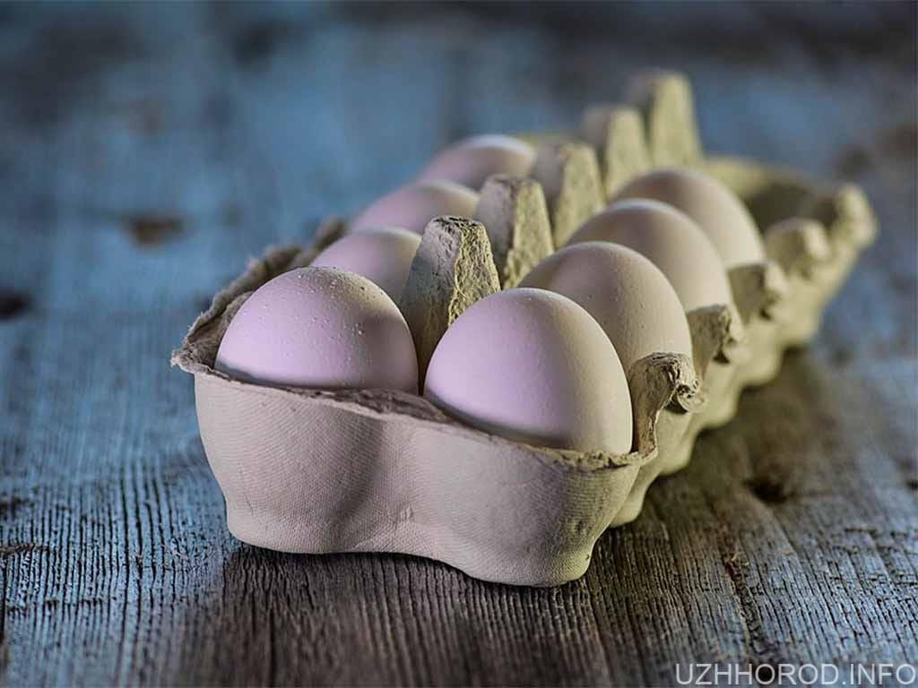 яйця Ужгород фото