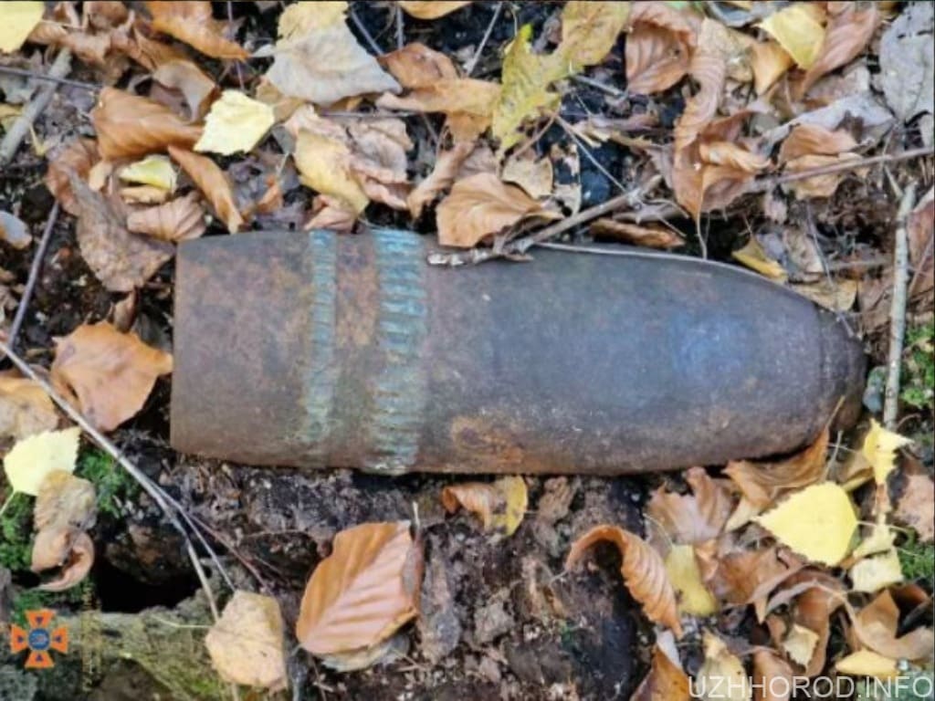 На Ужгородщині грибники знайшли вибухонебезпечний предмет фото