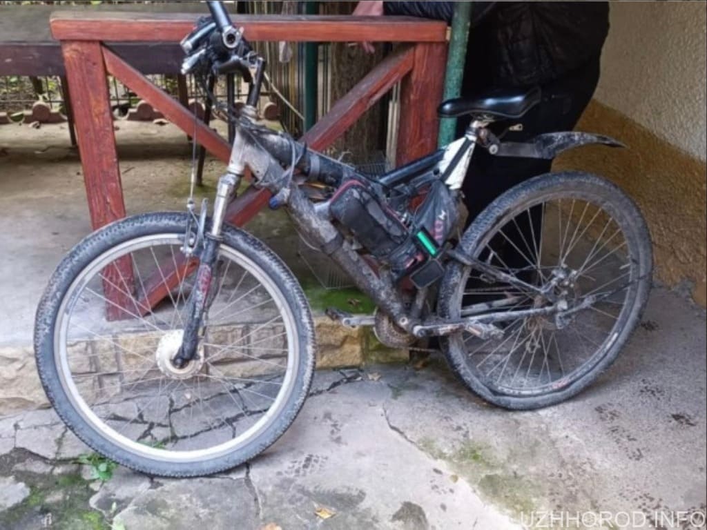 В Ужгороді затримали раніше судимого зловмисника за крадіжку електровелосипеда фото