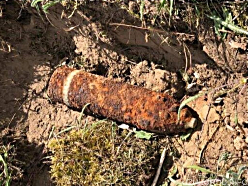 У лісі на Ужгородщині знайшли сховок з 21 міною і 27 гранатами фото