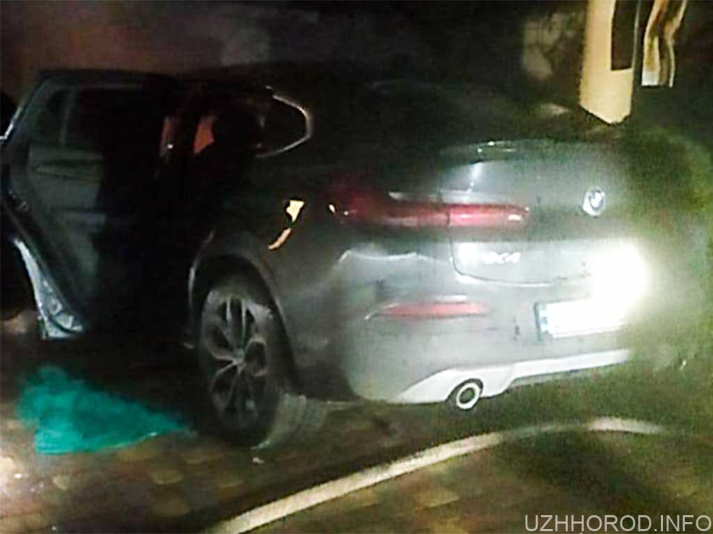 В Ужгороді підпалили автомобіль екс-заступниці голови ОДА Травіній