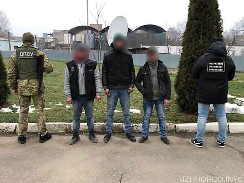 За добу затримали 7 закарпатців, які пробували пробратись в Угорщину (ФОТО)