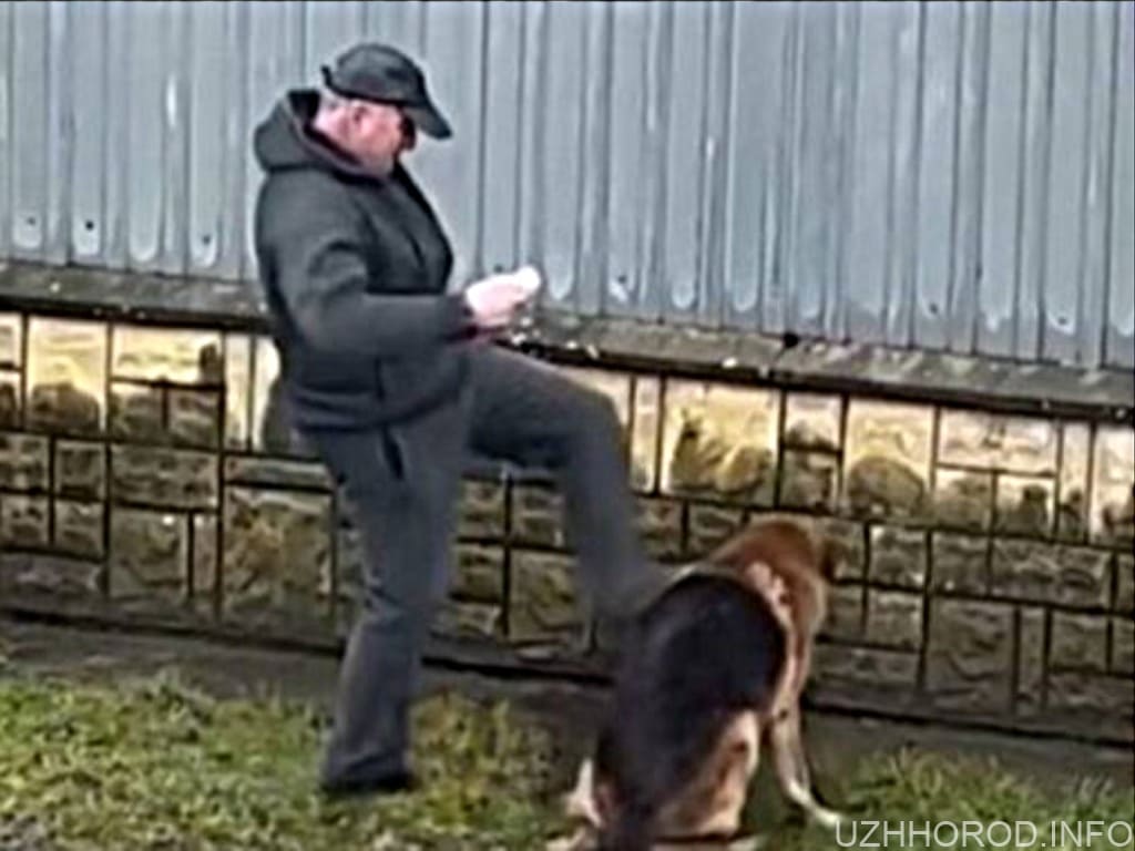 Поліція навідалася до ужгородця, який жорстоко побив собаку: яке покарання його чекає