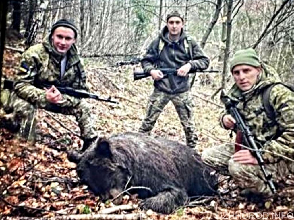 Лісівники звинувачують прикордонників у вбивстві ведмедиці фото