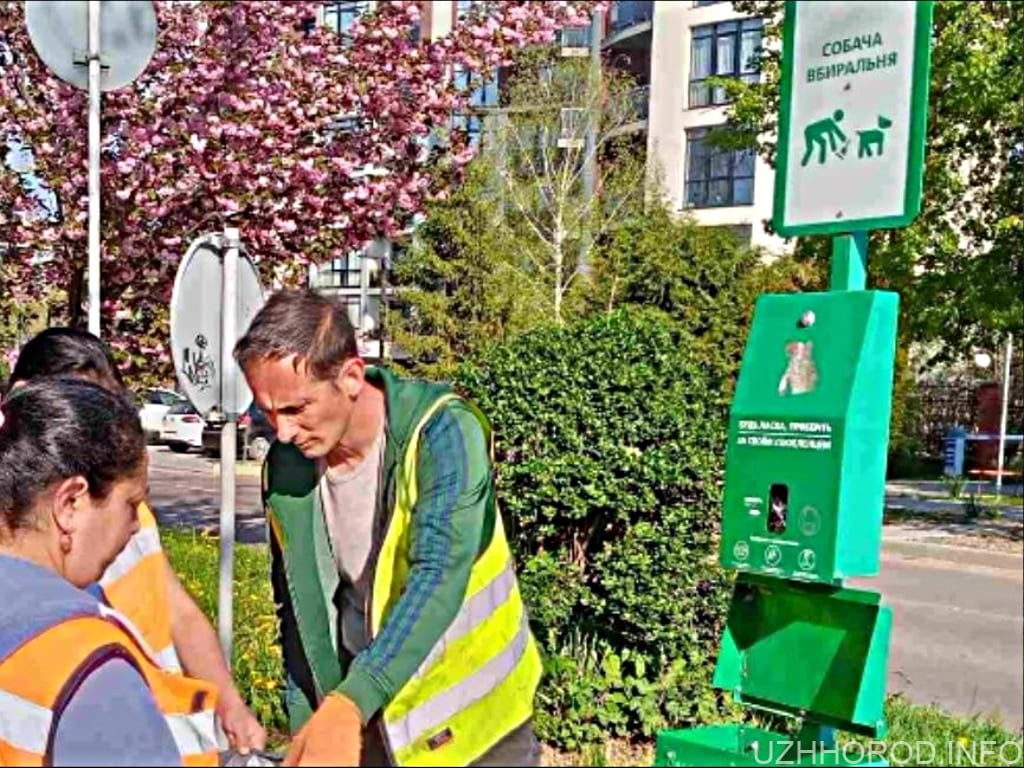 В Ужгороді встановили контейнери з біорозкладними пакетами для прибирання за тваринами