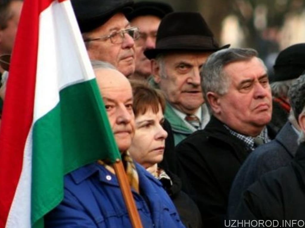 Більшість закарпатських угорців вважають, що Угорщина має надати Україні зброю фото