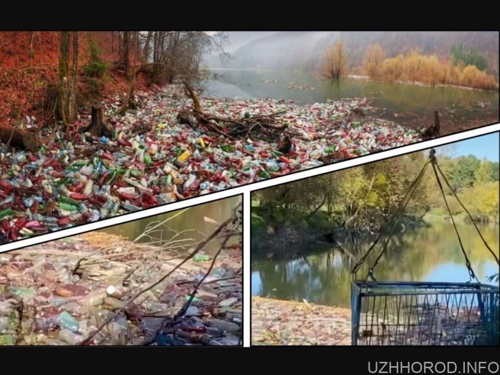 На Закарпатті знайшли новий спосіб очистки річки Боржава від пластикових пляшок