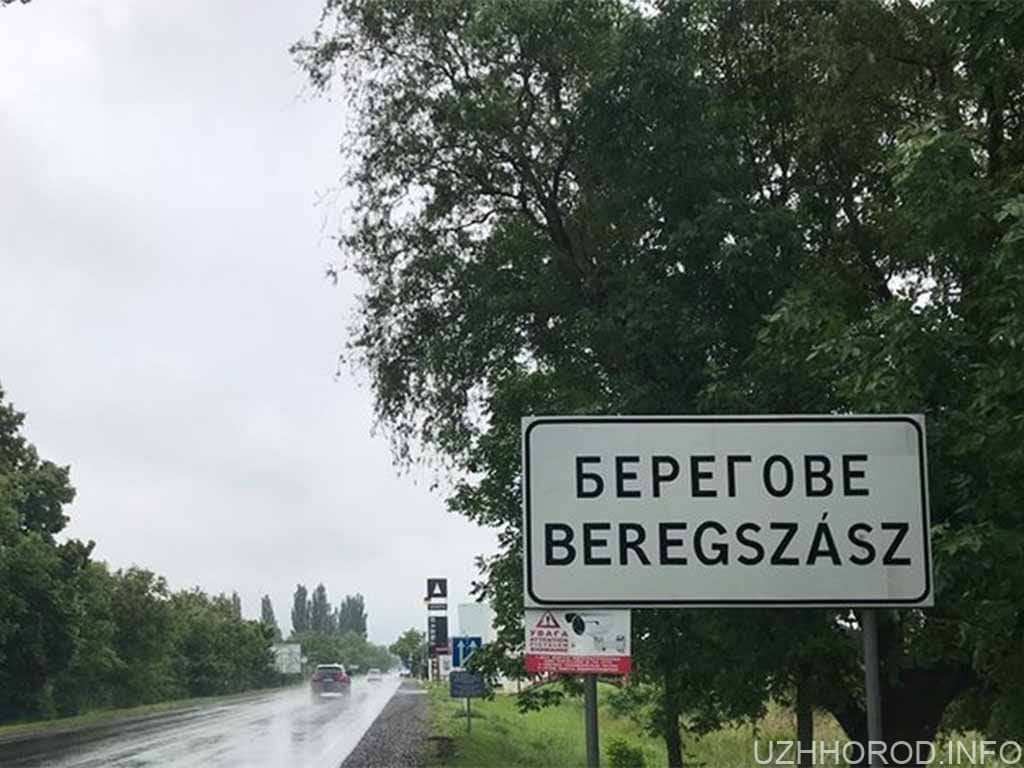 За допомогою відеокамер встановлено та затримано вбивцю жінки в місті Берегово