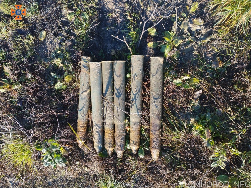 Житель Ужгородщини знайшов 6 артснарядів фото