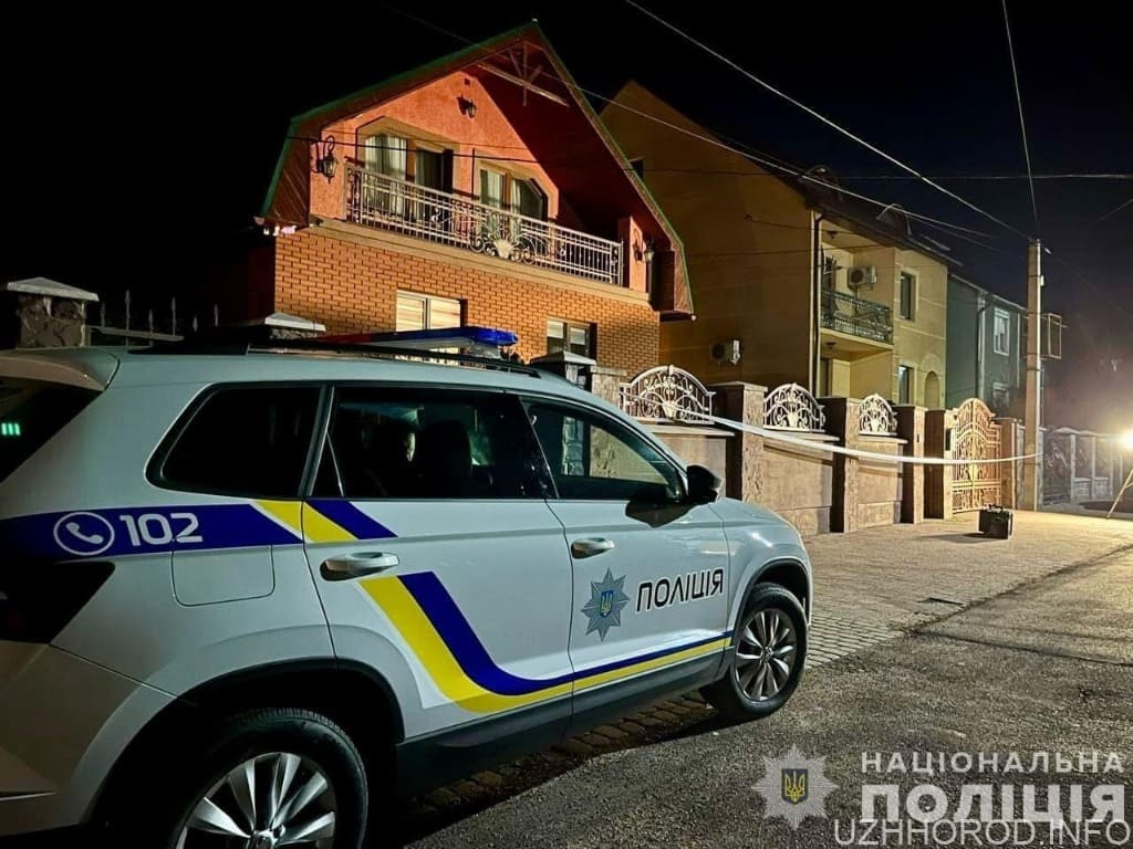 Вночі невідомий кинув гранату на подвірʼя депутата Закарпатської обласної ради (ФОТО)