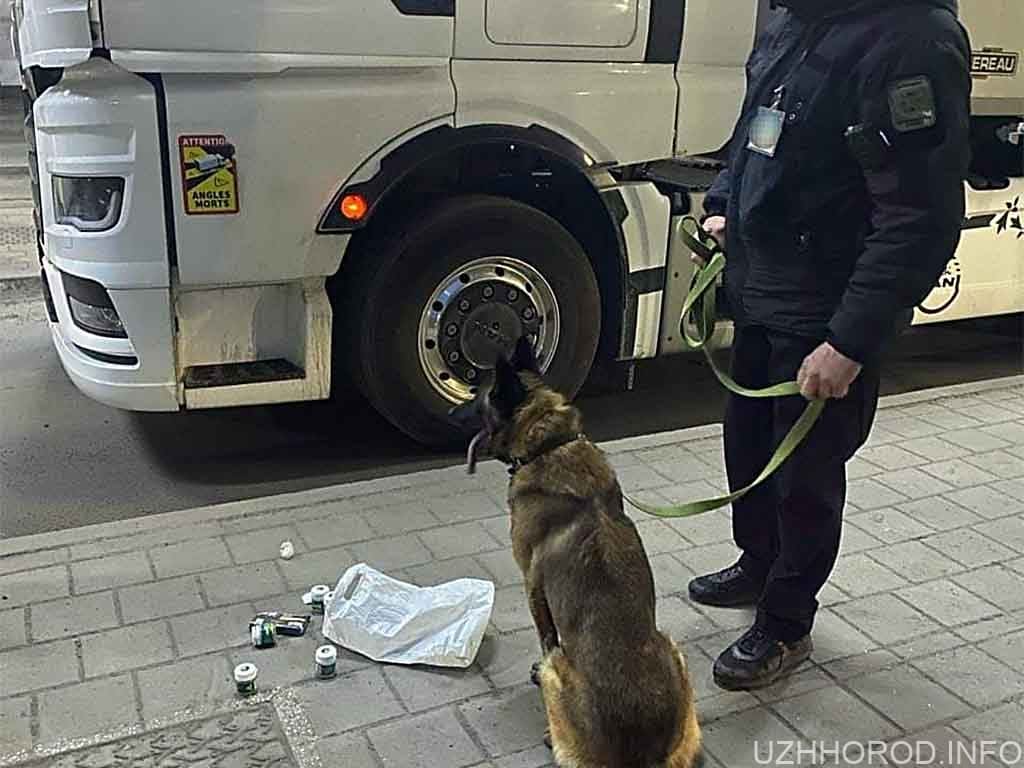 Службовий собака прикордонників знайшов у вантажівці іноземця наркотики