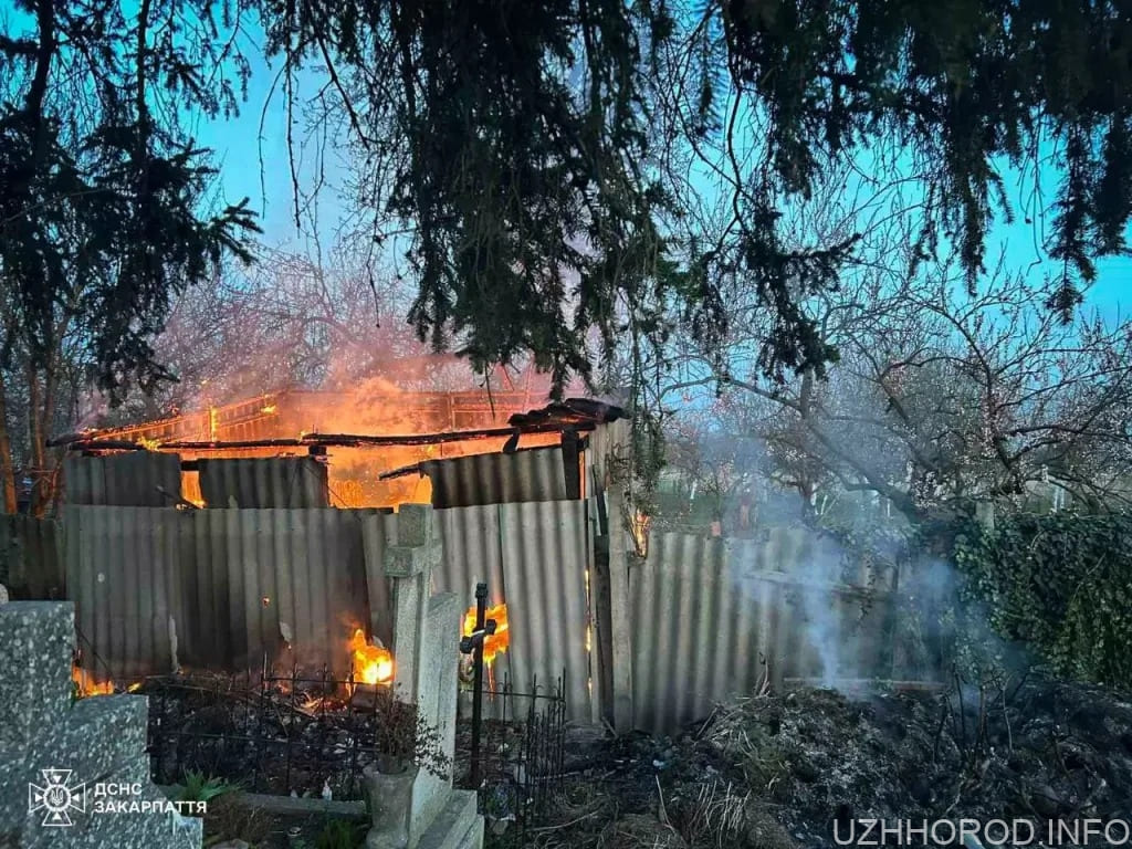 Ужгородські рятувальники ліквідували пожежу в надвірній споруді фото
