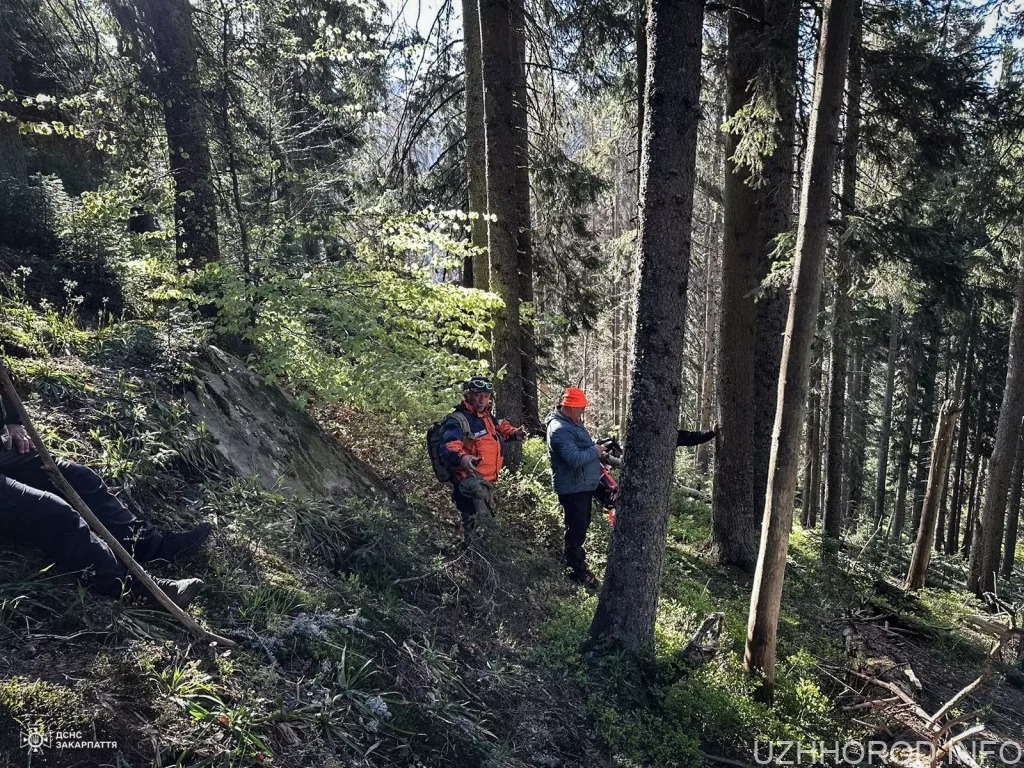 Гірські рятувальники Закарпаття продовжують пошуки тіла людини фото