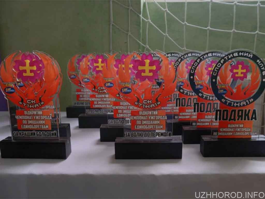 В Ужгороді провели відкритий турнір зі змішаних єдиноборств