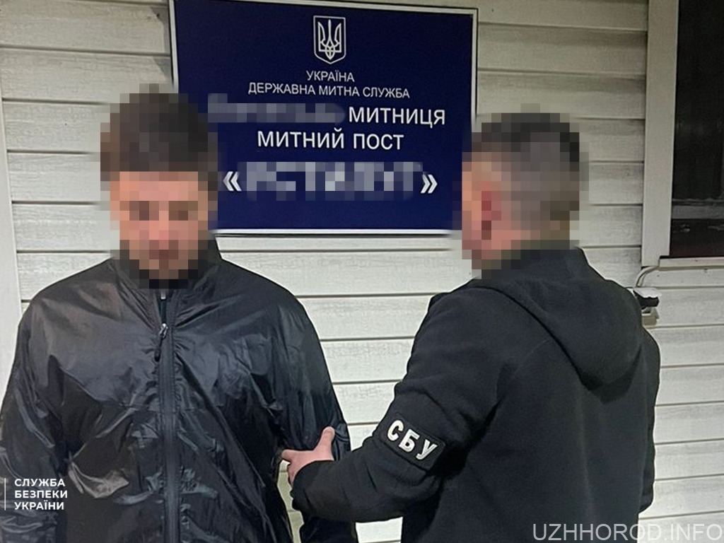 Завдяки СБУ в Україну екстрадували організатора фото