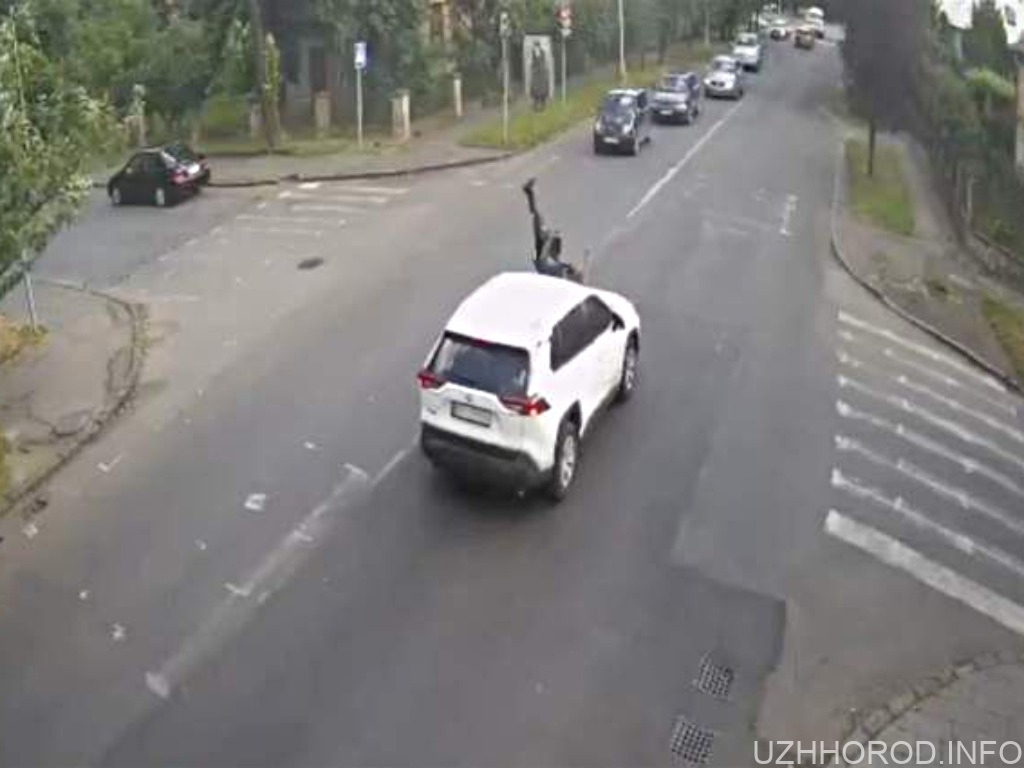 Поліція знайшла водія, який збив в Ужгороді велосипедиста і втік (ВІДЕО)