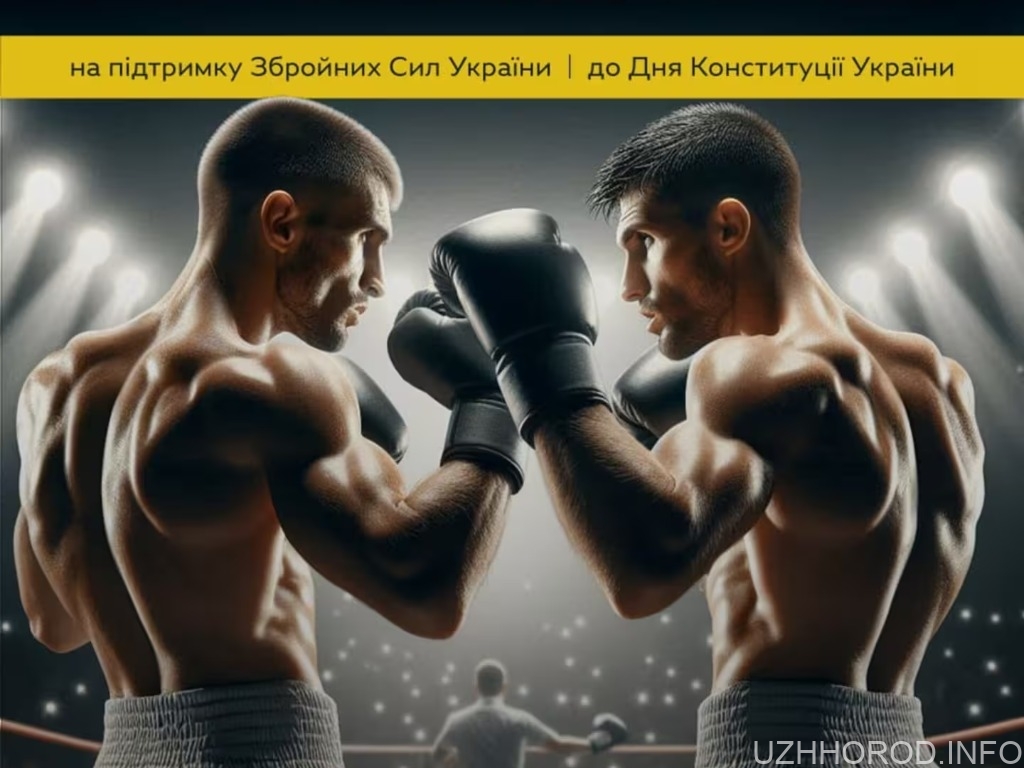 В Ужгороді відбудеться благодійний турнір з боксу