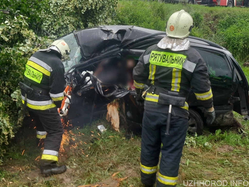 ДТП в Зарічові: 35-річний водій помер на місці, а неповнолітню пасажирку забрала “швидка”