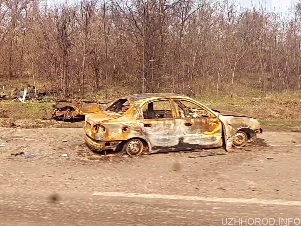 Фотовиставка до Дня Бердянська відбудеться в Ужгороді фото