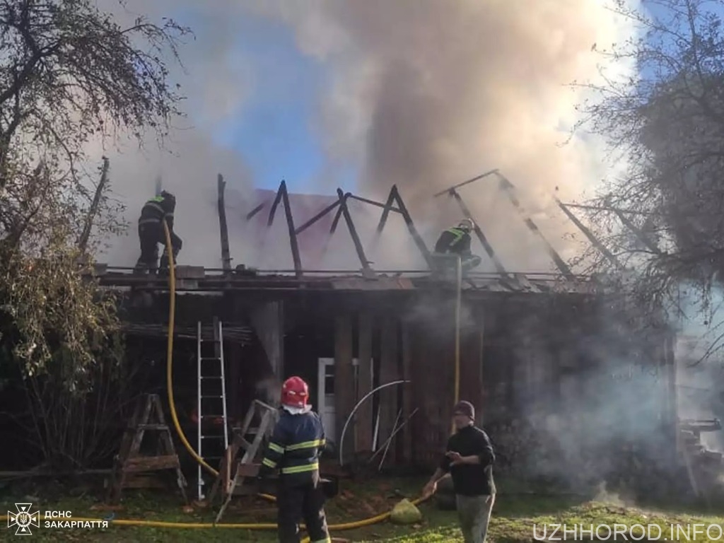 У Волосянці на Ужгородщині згоріла надвірна споруда з 2 тоннами сіна (ФОТО)