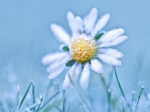 На вихідних в Ужгороді зафіксували температурний рекорд