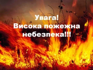 На Закарпатті оголосили найвищий рівень пожежної небезпеки