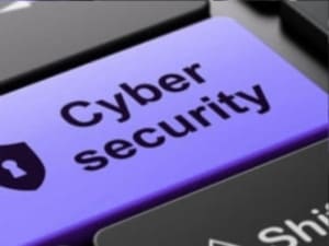 На Закарпатті оголошено полювання на кібершахраїв