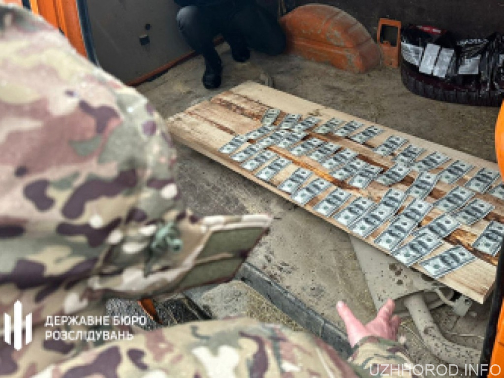 На Закарпатті ліквідували схему оформлення «липових» діагнозів про психічні розлади На Закарпатті ліквідували схему оформлення фото