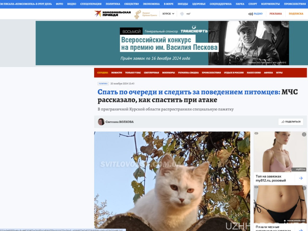 Комсомольська правда рф поширила пам’ятку МНС рф, де рекомендує мешканцям у випадку атак БПЛА ховатись слідом за домашніми тваринами Комсомольська правда рф поширила пам’ятку МНС рф, де рекомендує мешканцям у випадку атак БПЛА ховатись слідом за домашніми тваринами