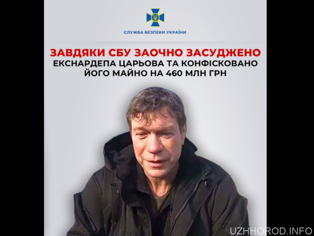 Завдяки СБУ заочно засуджено екснардепа Царьова та конфісковано його майно на 460 млн грн