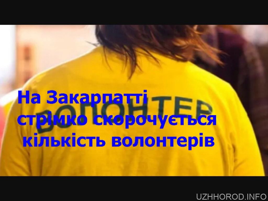На Закарпатті стрімко скорочується кількість волонтерів На Закарпатті стрімко скорочується кількість волонтерів