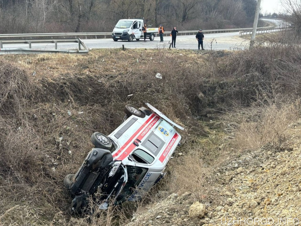 “Швидка” з пацієнтом вилетіла з дороги (ФОТО)