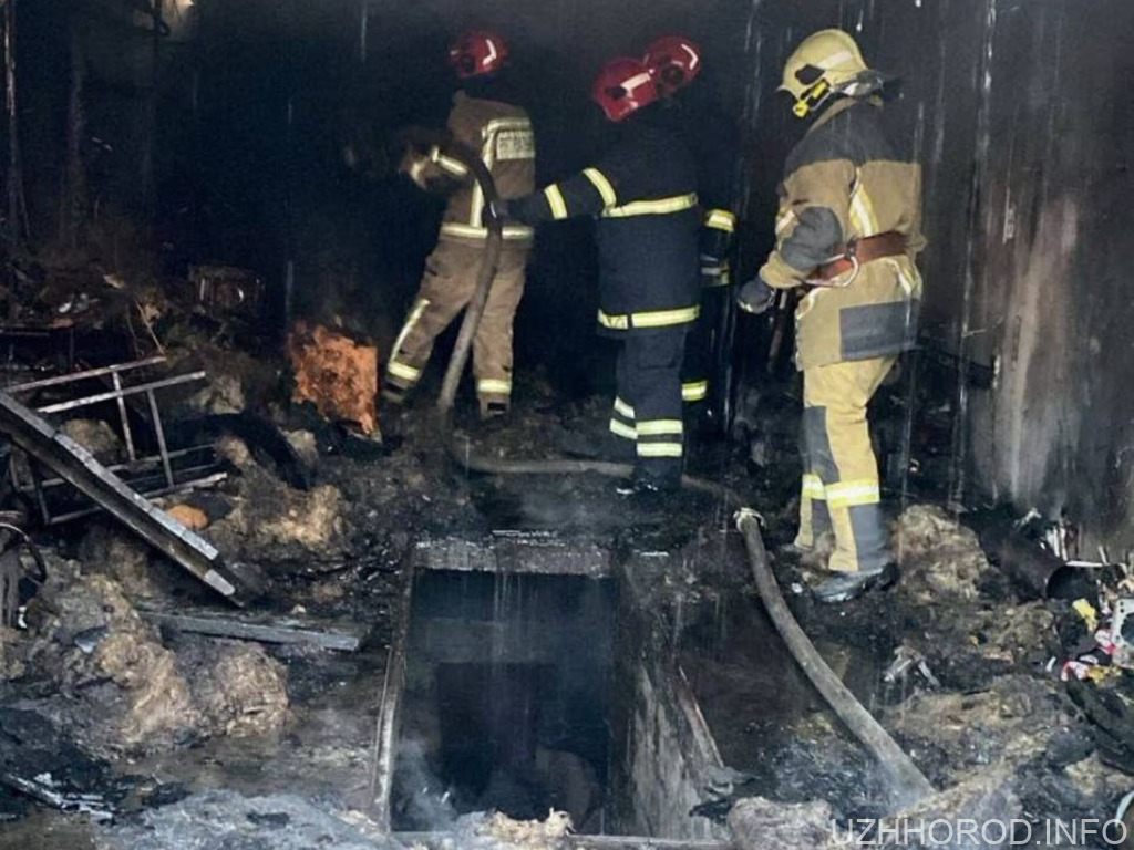 Внаслідок пожежі в Ужгороді загинув 53-річний чоловік (ФОТО)