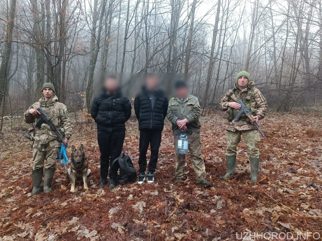 Затримано 78-річного провідника ухилянтів Затримано 78-річного провідника ухилянтів