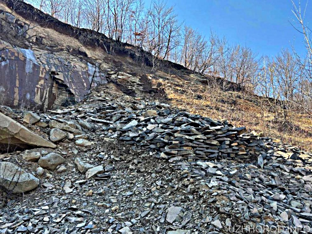 У лісі біля Чинадієва незаконно видобували корисні копалини