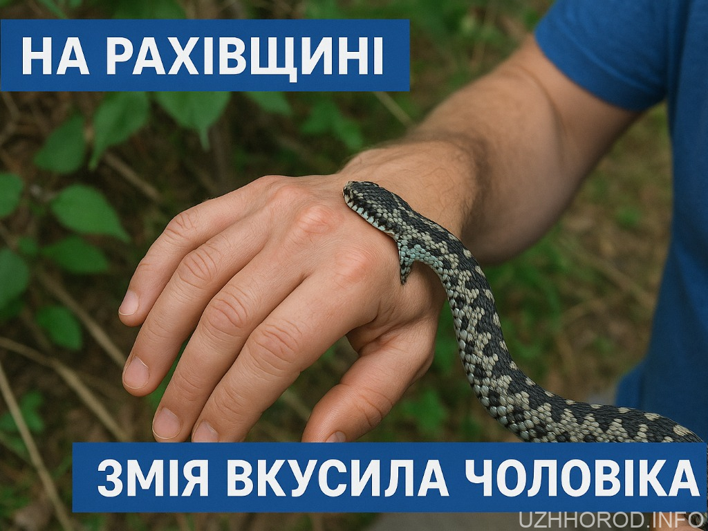 На Рахівщині змія вкусила чоловіка