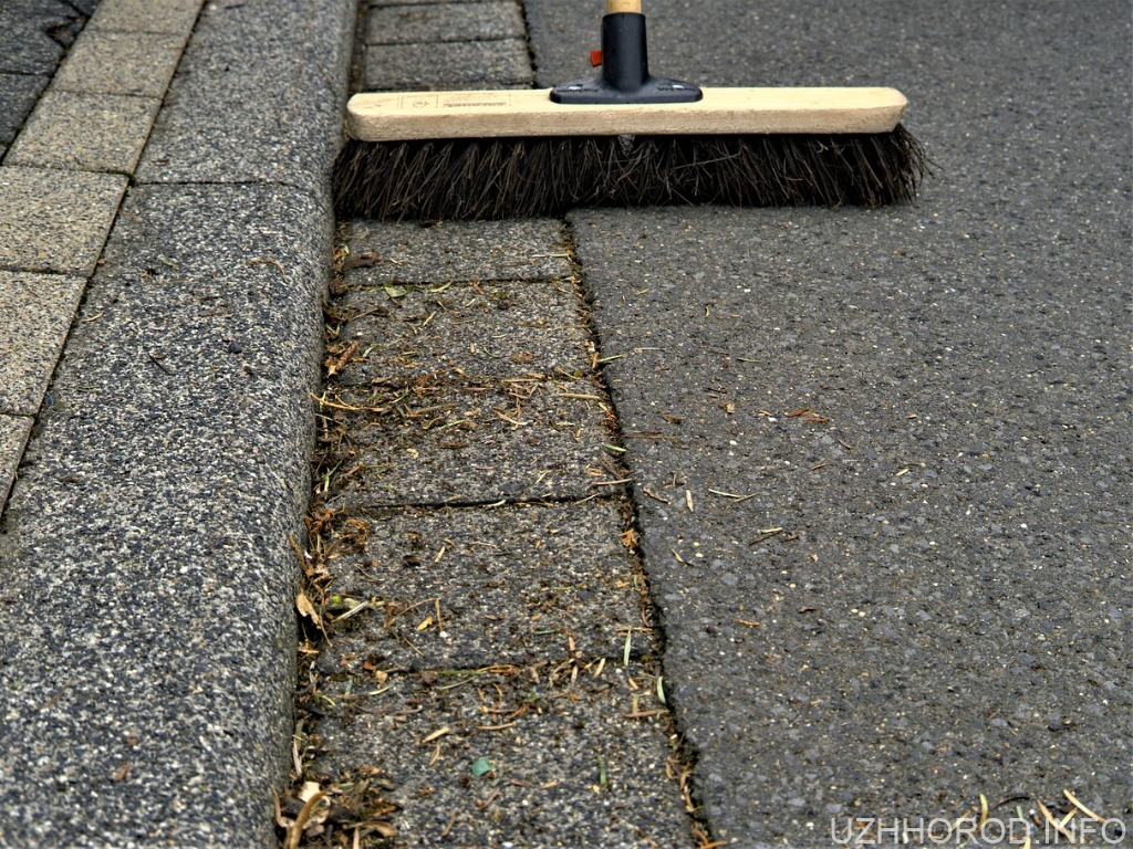 На старому кладовищі в Ужгороді проведуть ще одну толоку На старому кладовищі в Ужгороді проведуть ще одну толоку