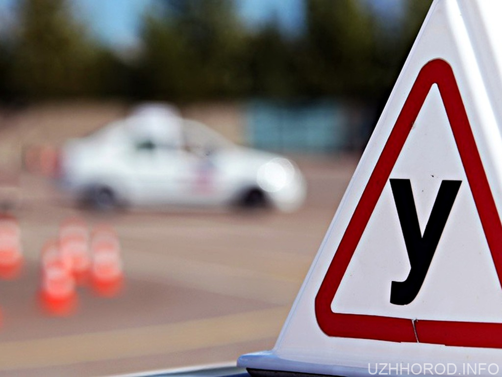 У Закарпатських автошколах виявили порушення податкового законодавства на 900 тис. грн У Закарпатських автошколах виявили порушення податкового законодавства на 900 тис. грн