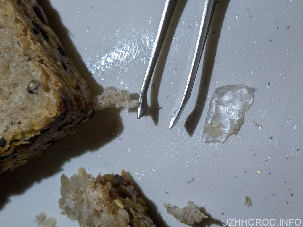 В Ужгороді у хлібі знайшли скло В Ужгороді у хлібі знайшли скло фото