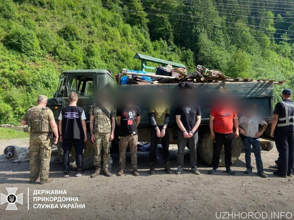 Біля кордону на Закарпатті у вантажівці зі сміттям та худобою знайшли 4 ухилянтів (ФОТО)