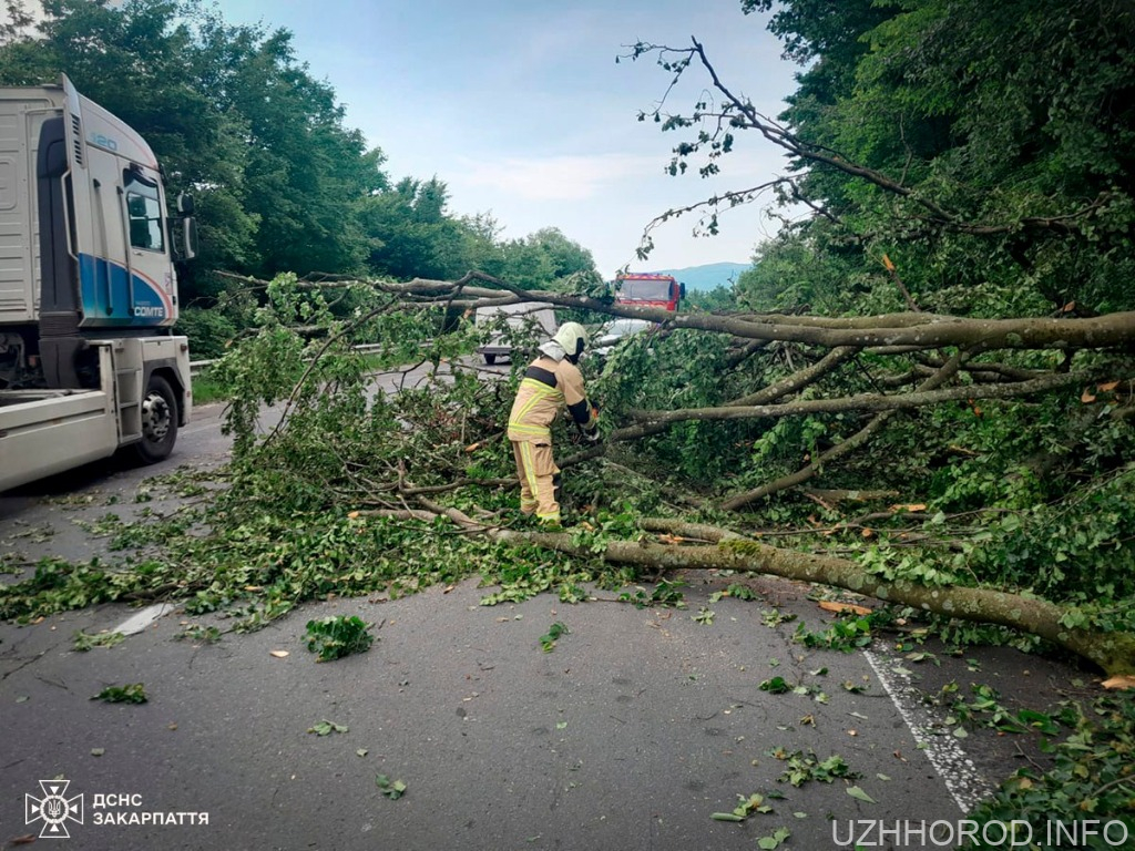 Негода знеструмила громади та пошкодила дахи будинків закарпатців (ФОТО) Негода знеструмила громади та пошкодила дахи будинків закарпатців (ФОТО)